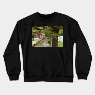 Parque Dr. Manuel Braga, Coimbra, Portugal Crewneck Sweatshirt